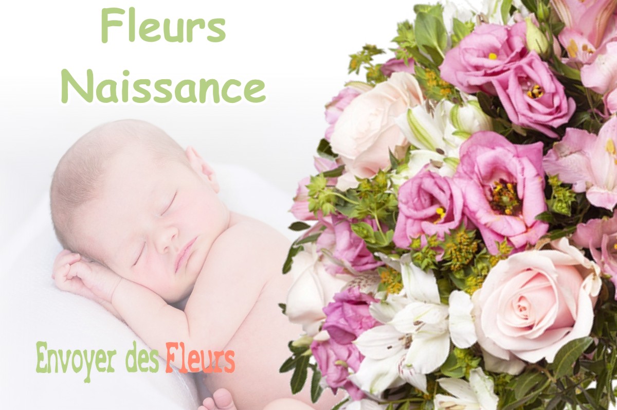 lIVRAISON FLEURS NAISSANCE à VILLARD-DE-LANS